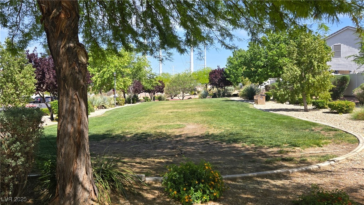 10342 Cherry Brook Street Property Photo 46