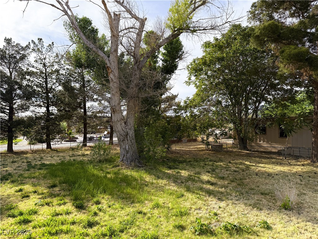 1260 White Street Property Photo 3