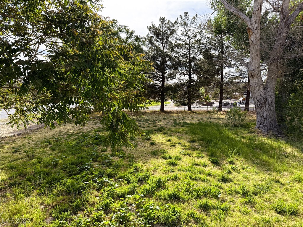 1260 White Street Property Photo 4