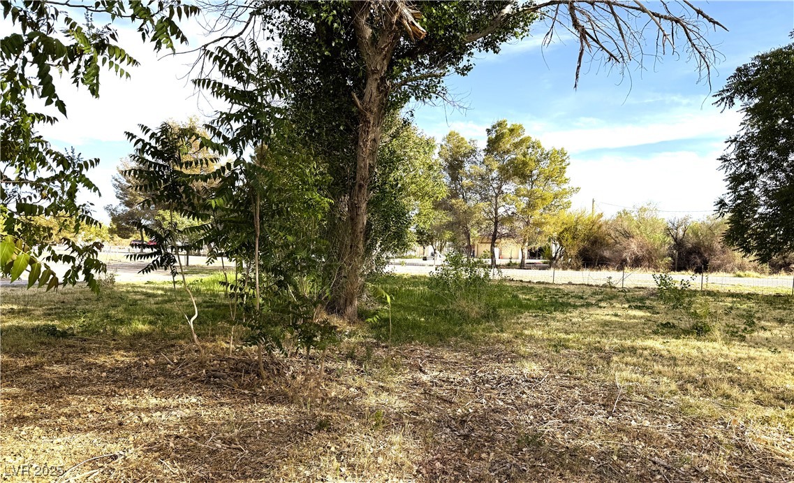 1260 White Street Property Photo 35