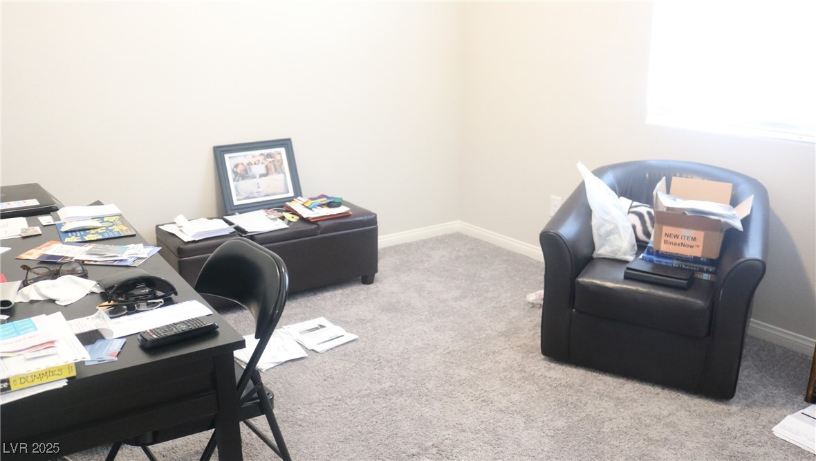 10269 Sequoia Falls Place Property Photo 29