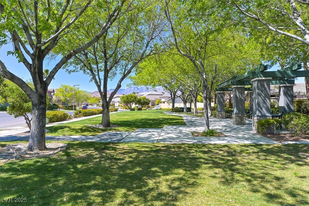 10325 Sweet Fennel Drive Property Photo 36