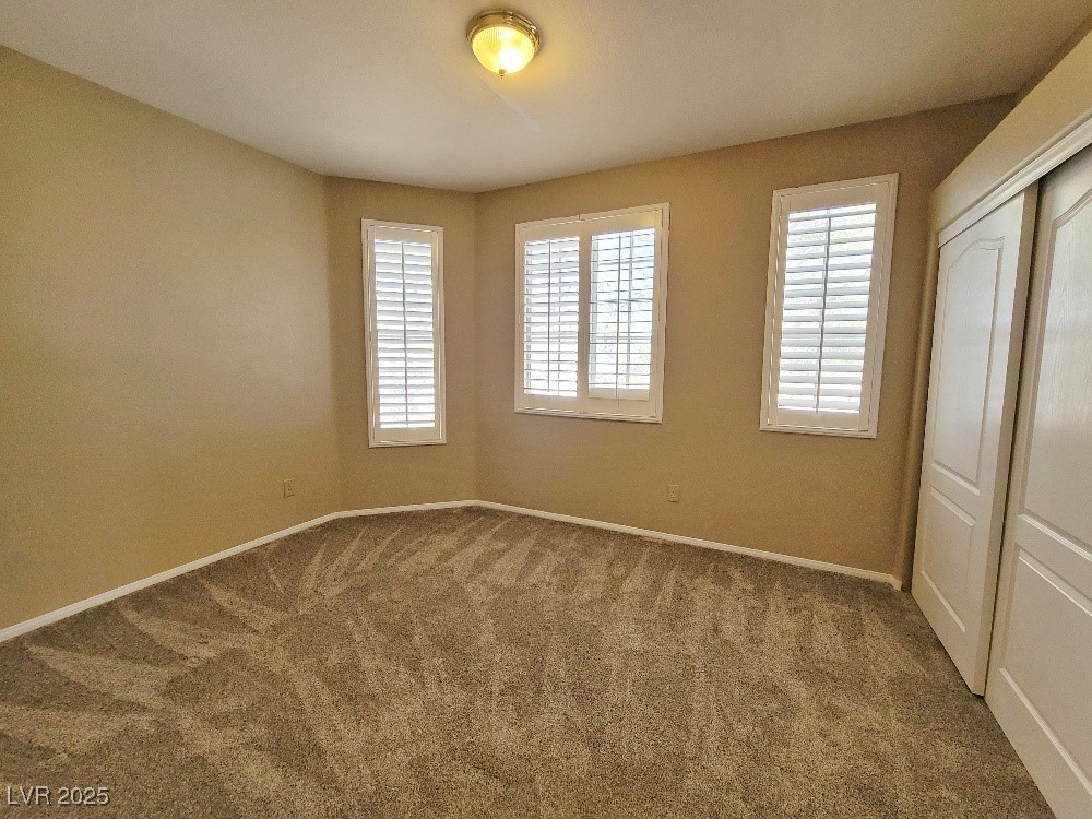 1337 Via Savona Drive Property Photo 16