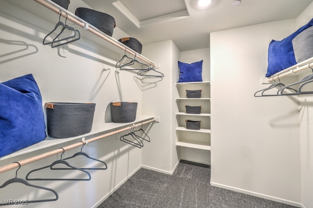 7925 Pandora Sky Street 393 Property Photo 27