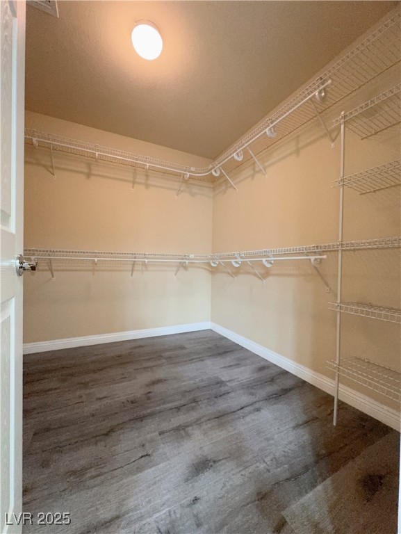 6714 Bravura Court Property Photo 11