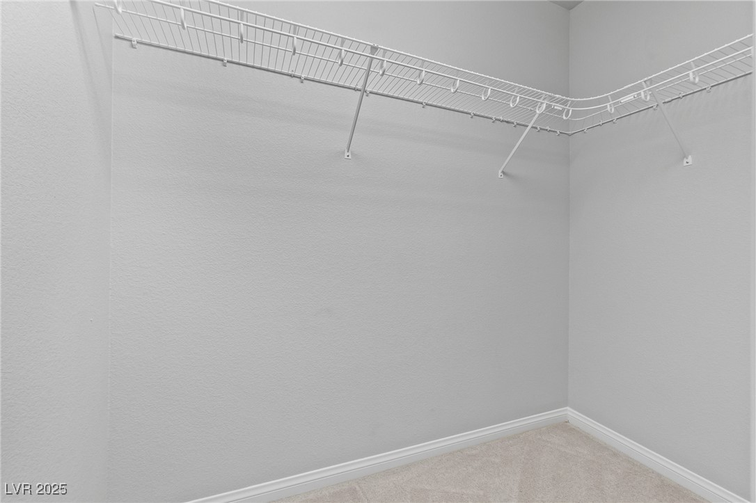 9680 Monarch Grove Street Property Photo 39
