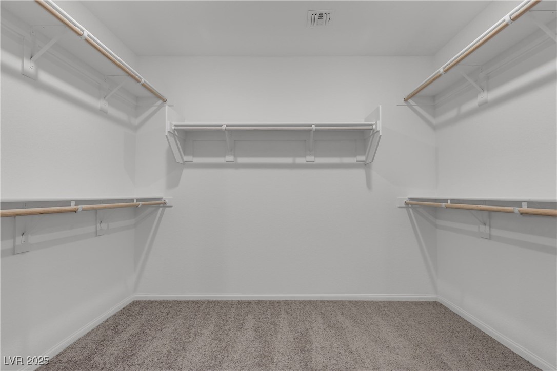 5678 Spring Trellis Street Property Photo 28
