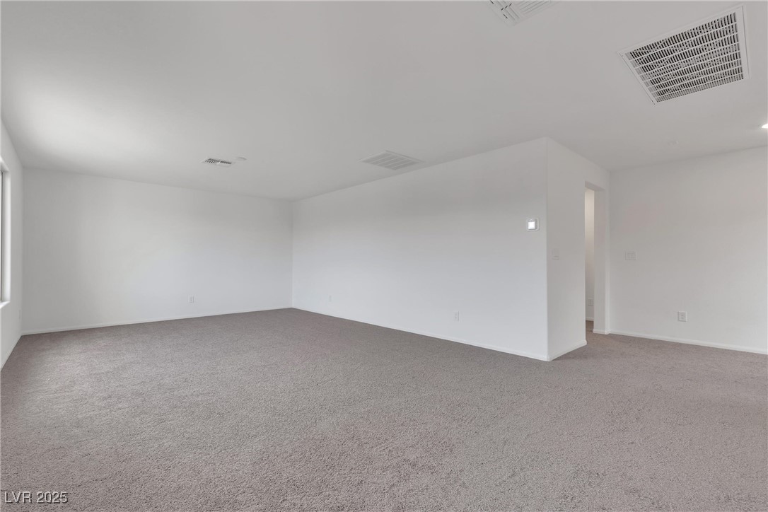 5678 Spring Trellis Street Property Photo 38