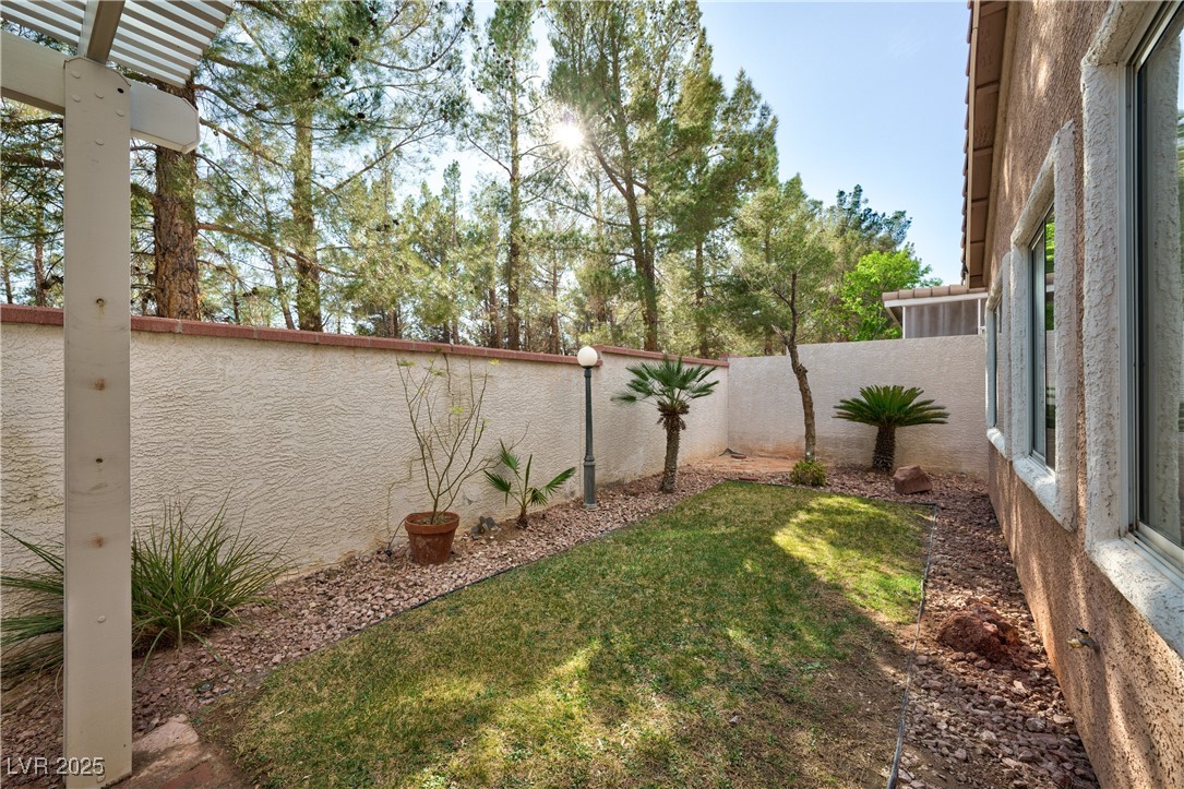 10017 Snow Crest Place Property Photo 36