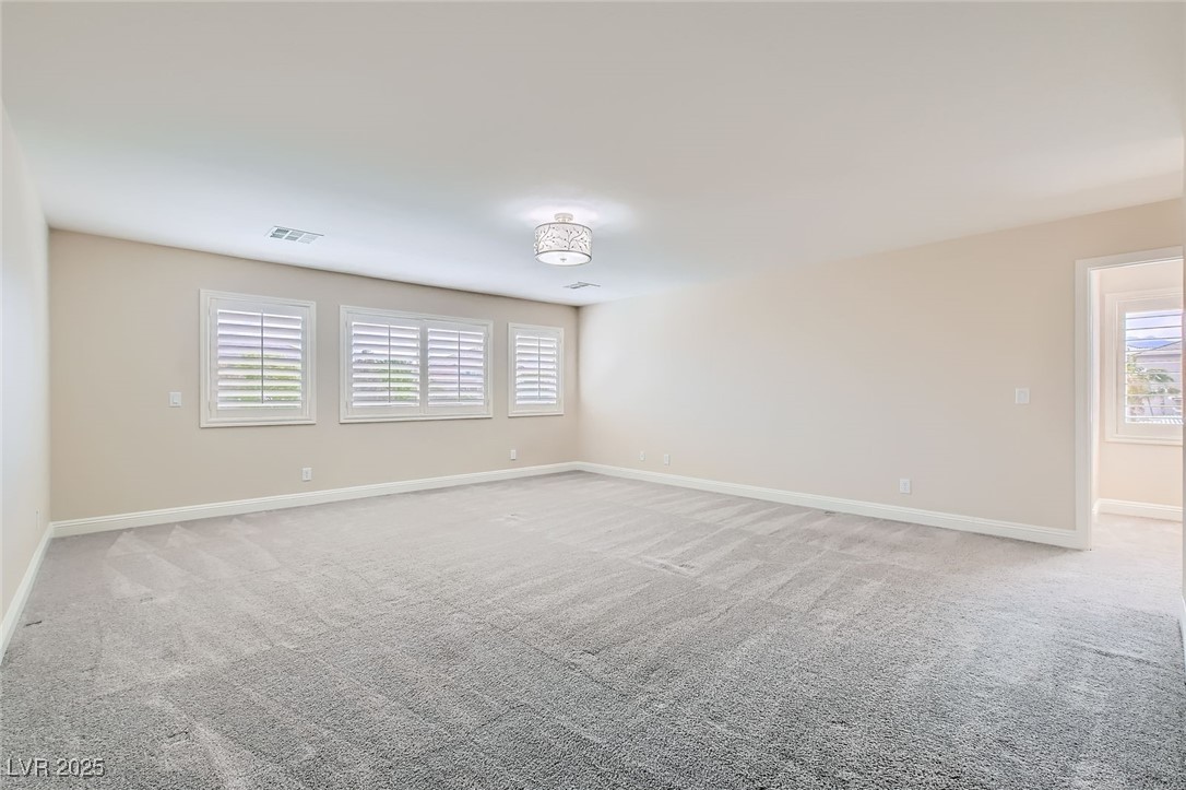 9029 Barium Rock Avenue Property Photo 18