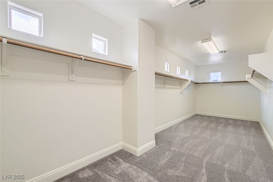 9029 Barium Rock Avenue Property Photo 24