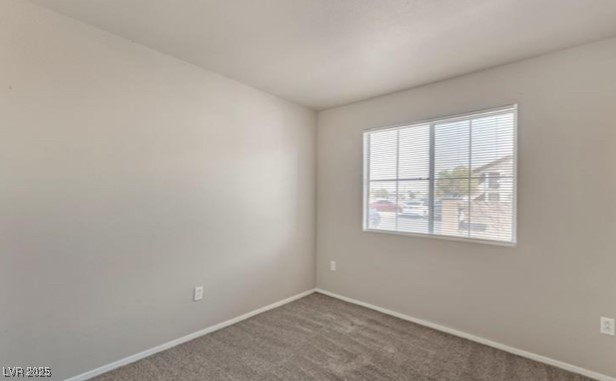 3953 Rebecca Raiter Avenue 101 Property Photo 13