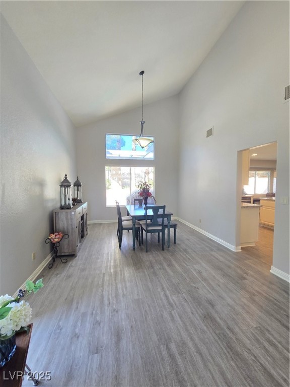 2065 Pinion Springs Drive Property Photo 12