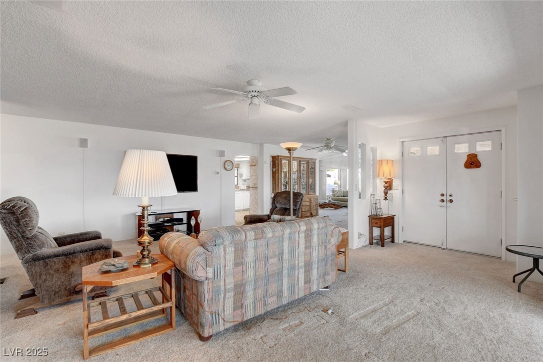 621 Mount Elbert Way Property Photo 11
