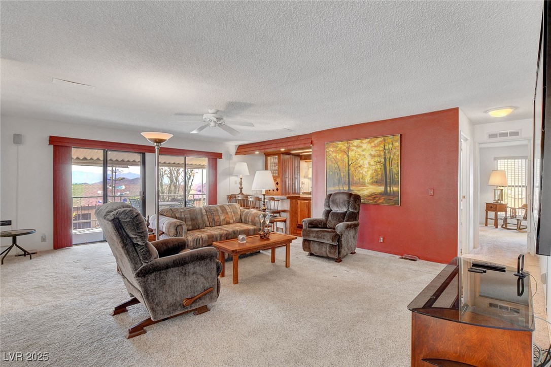 621 Mount Elbert Way Property Photo 12