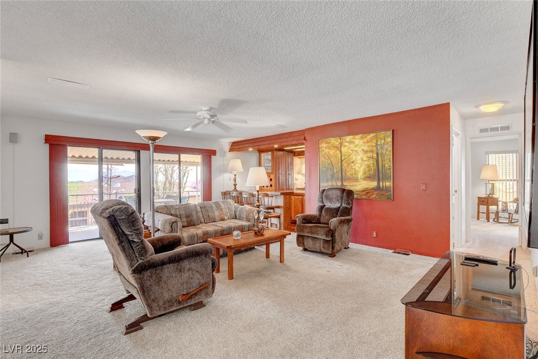 621 Mount Elbert Way Property Photo 13
