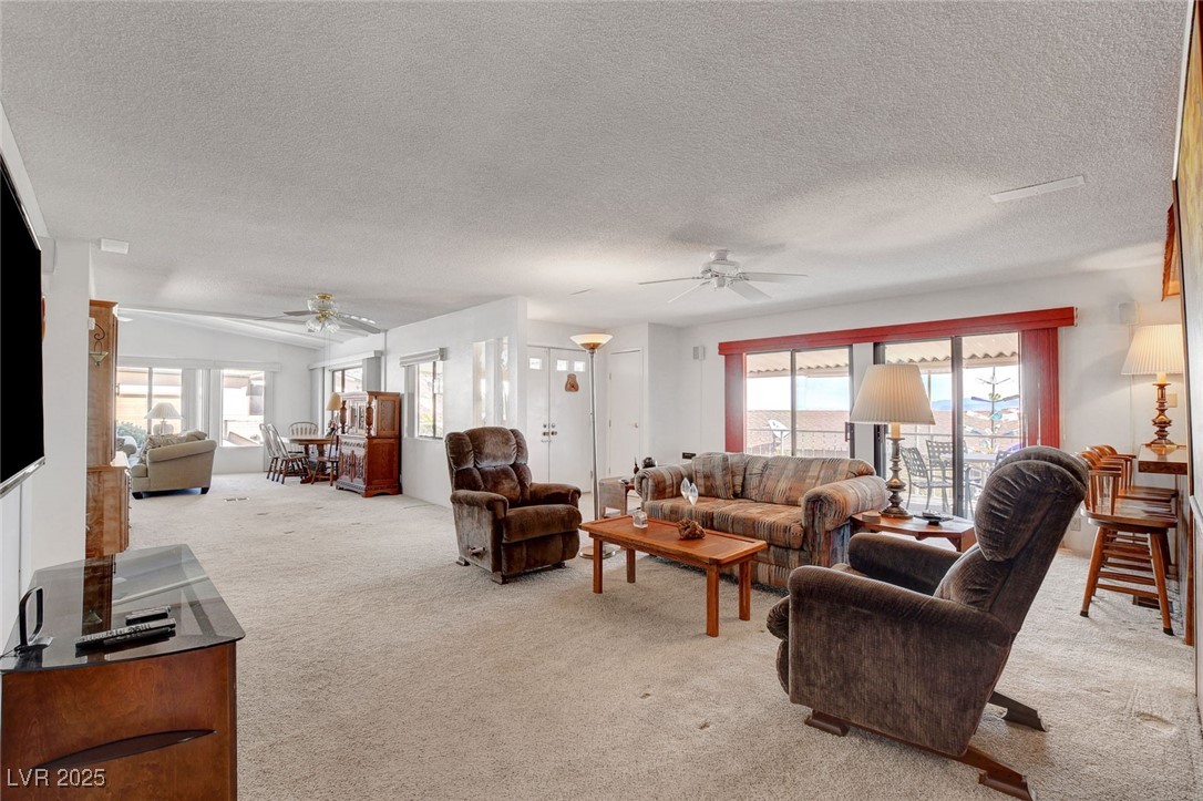 621 Mount Elbert Way Property Photo 14