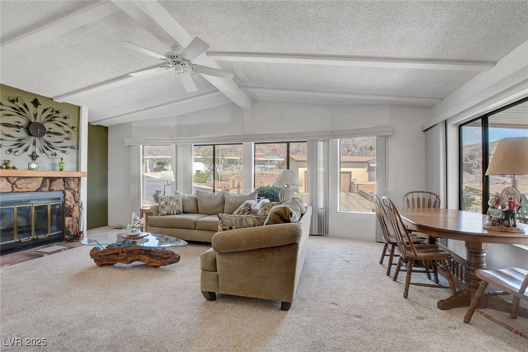 621 Mount Elbert Way Property Photo 16