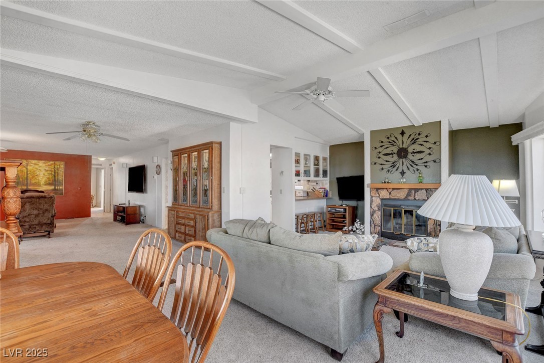 621 Mount Elbert Way Property Photo 19