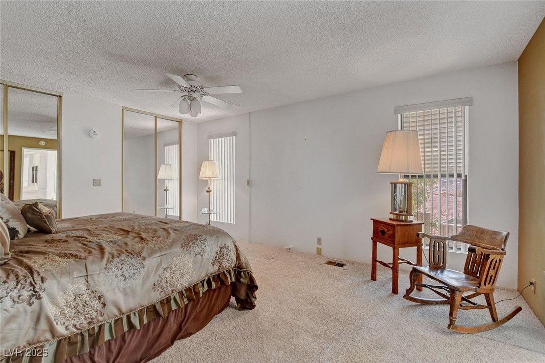 621 Mount Elbert Way Property Photo 36