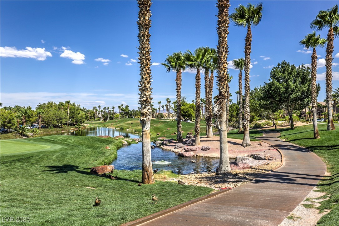 207 Crooked Putter Drive Property Photo 43