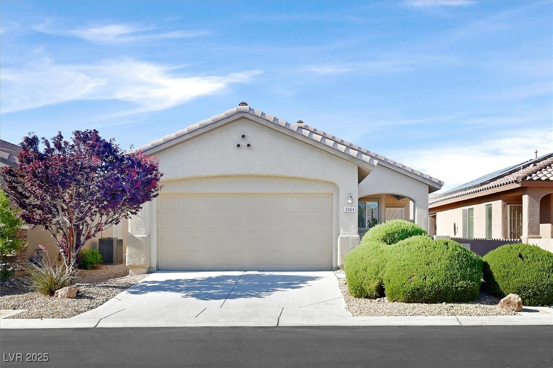 6064 Isola Peak Avenue Property Photo 1