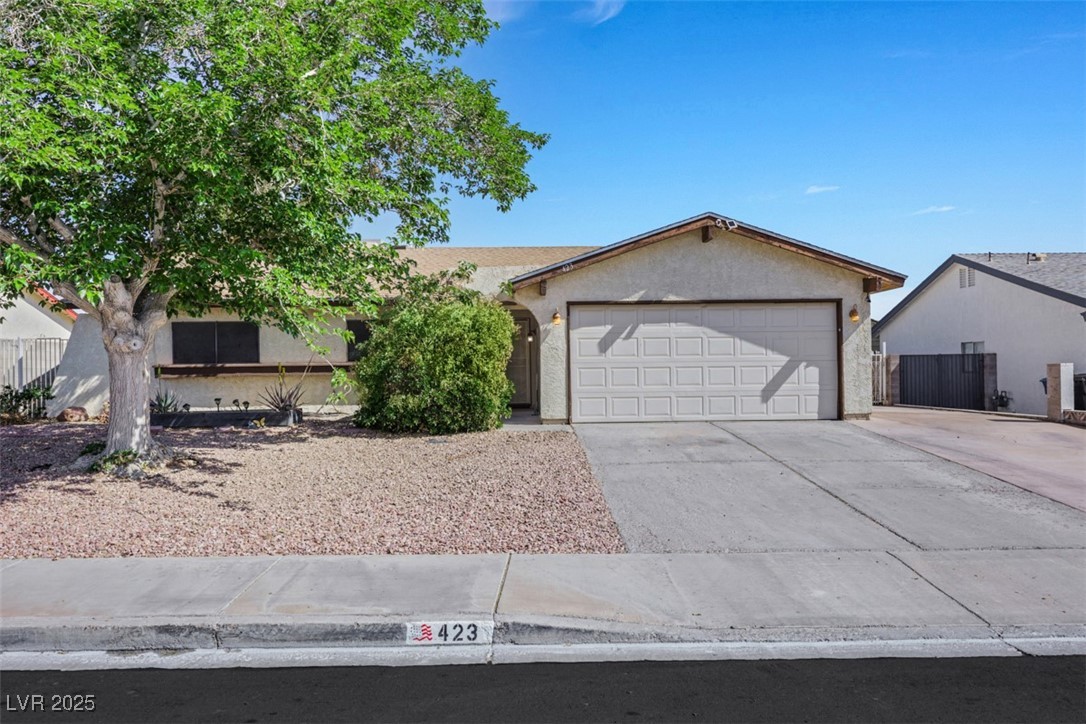 423 Golden Valley Drive Property Photo 1