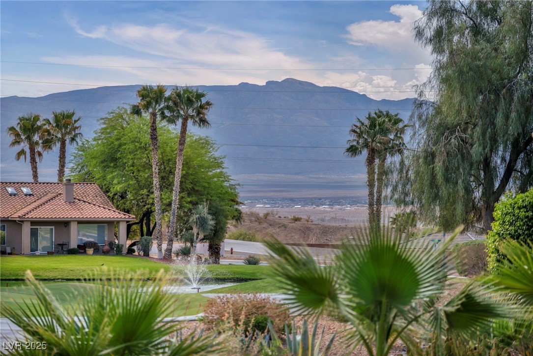 1074 Chaparral Drive Property Photo 40
