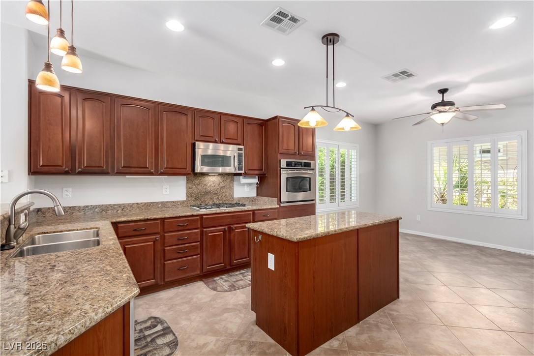 2489 Black River Falls Drive Property Photo 11
