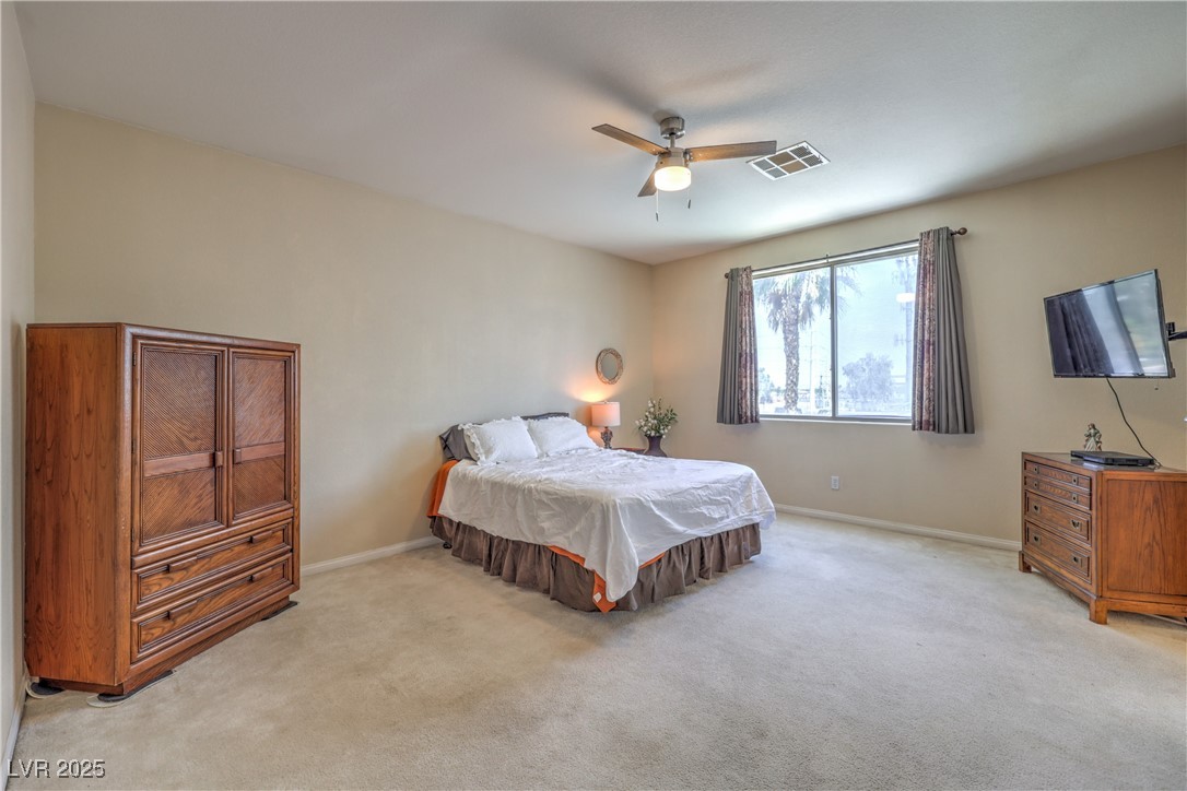 8942 Galena Crossing Street Property Photo 22