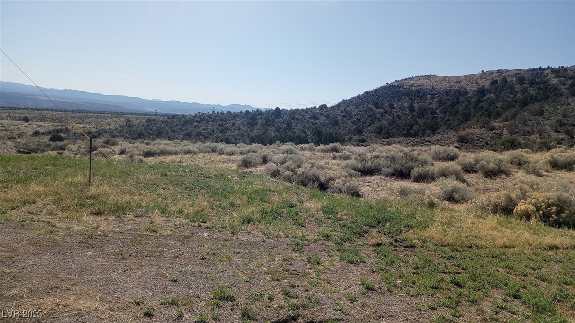 Field Street Property Photo 2
