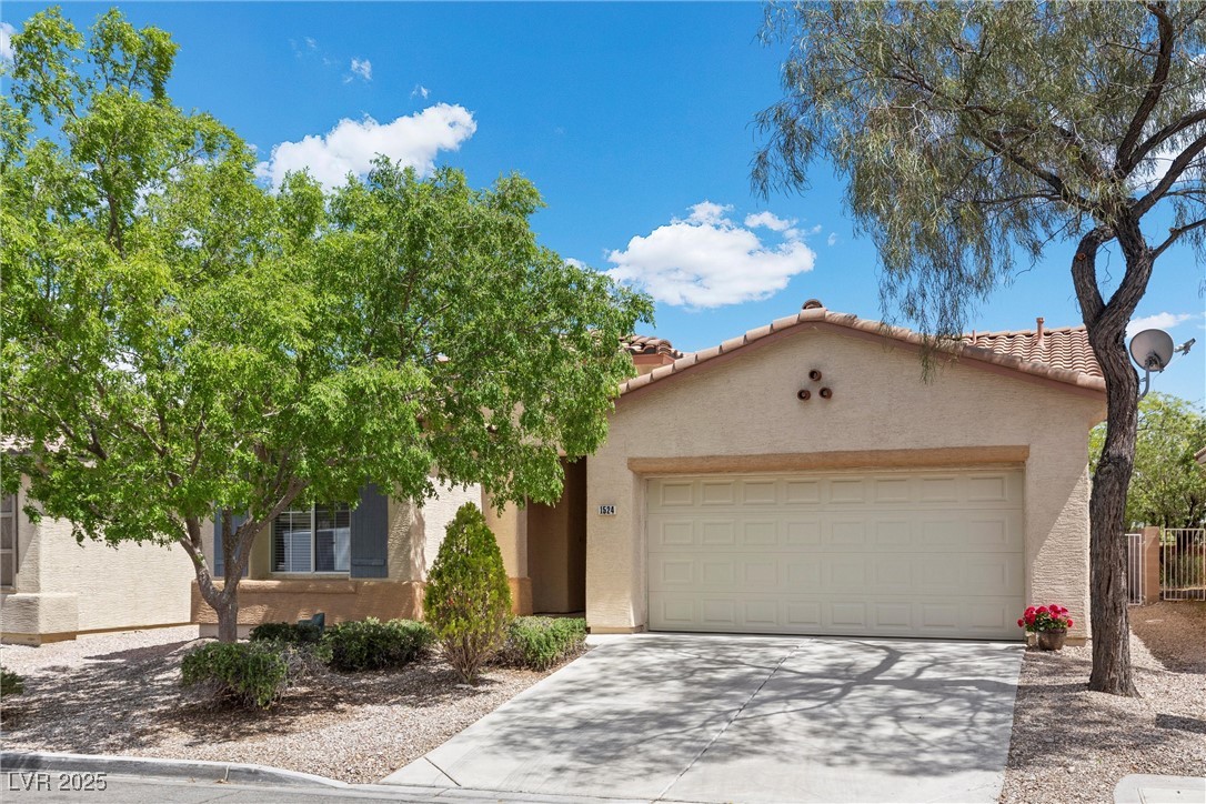 1524 Remembrance Hill Street Property Photo