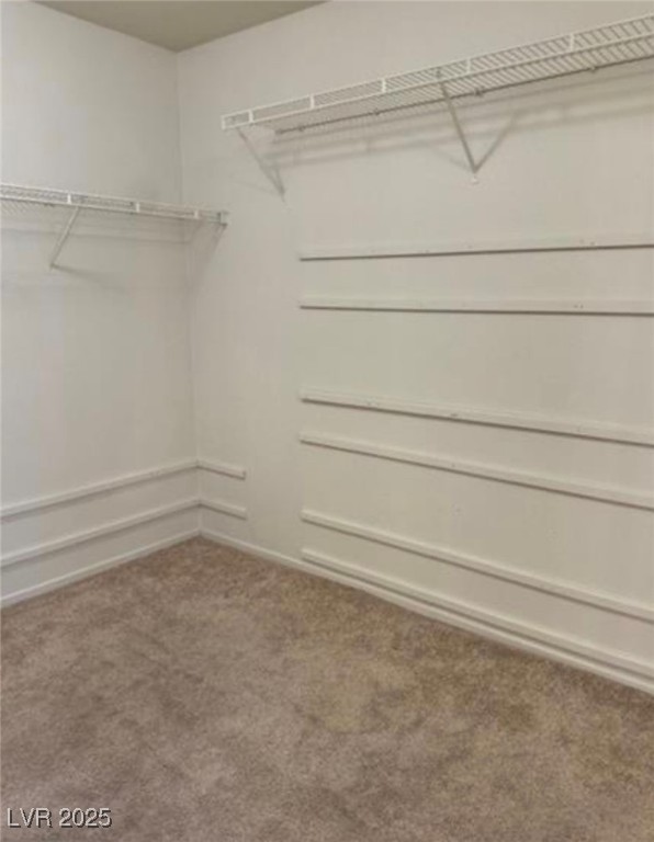 1003 Dover Glen Drive Property Photo 21