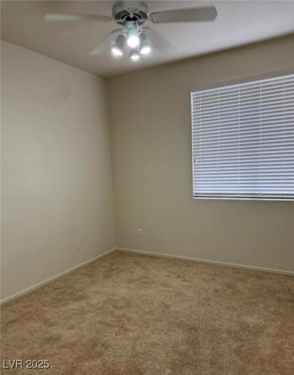 1003 Dover Glen Drive Property Photo 25