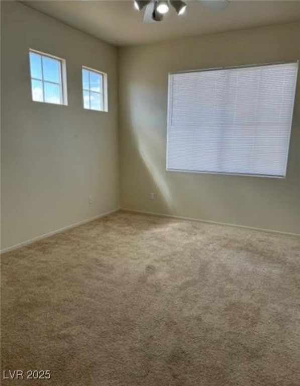 1003 Dover Glen Drive Property Photo 28