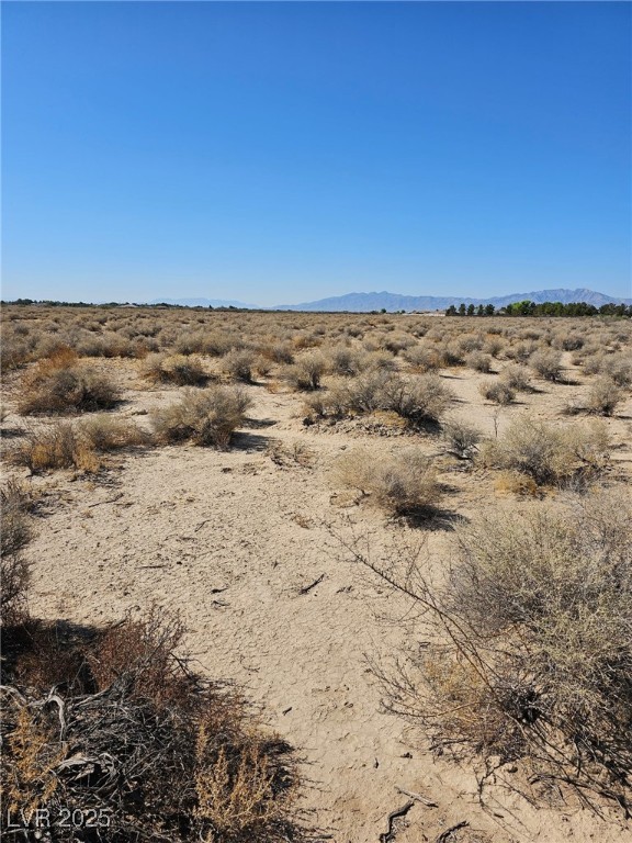 1061 West Nye Road Property Photo 2