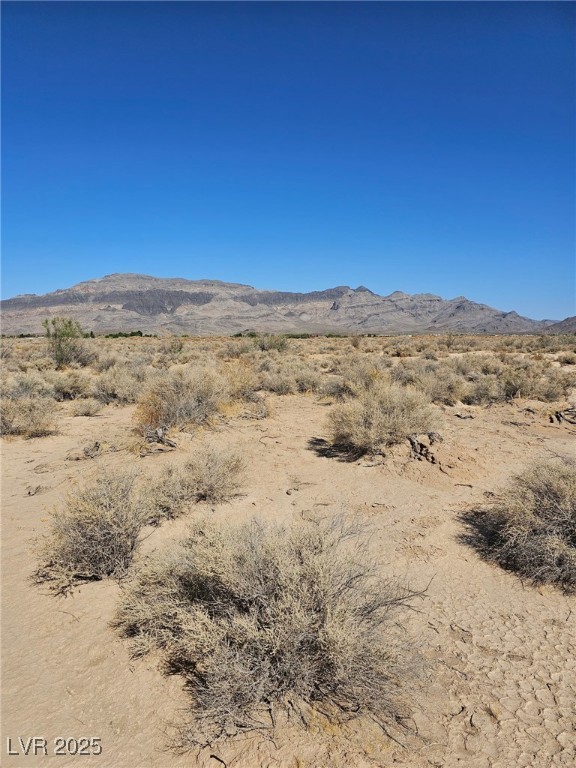 1061 West Nye Road Property Photo 3