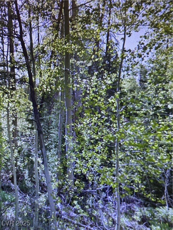 271 East Deer Trail Property Photo 2