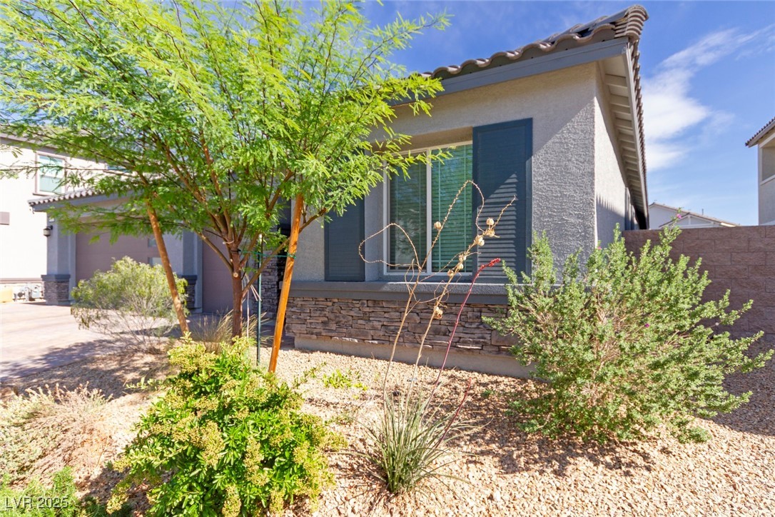 3817 Grazing Gazelle Avenue Property Photo 5