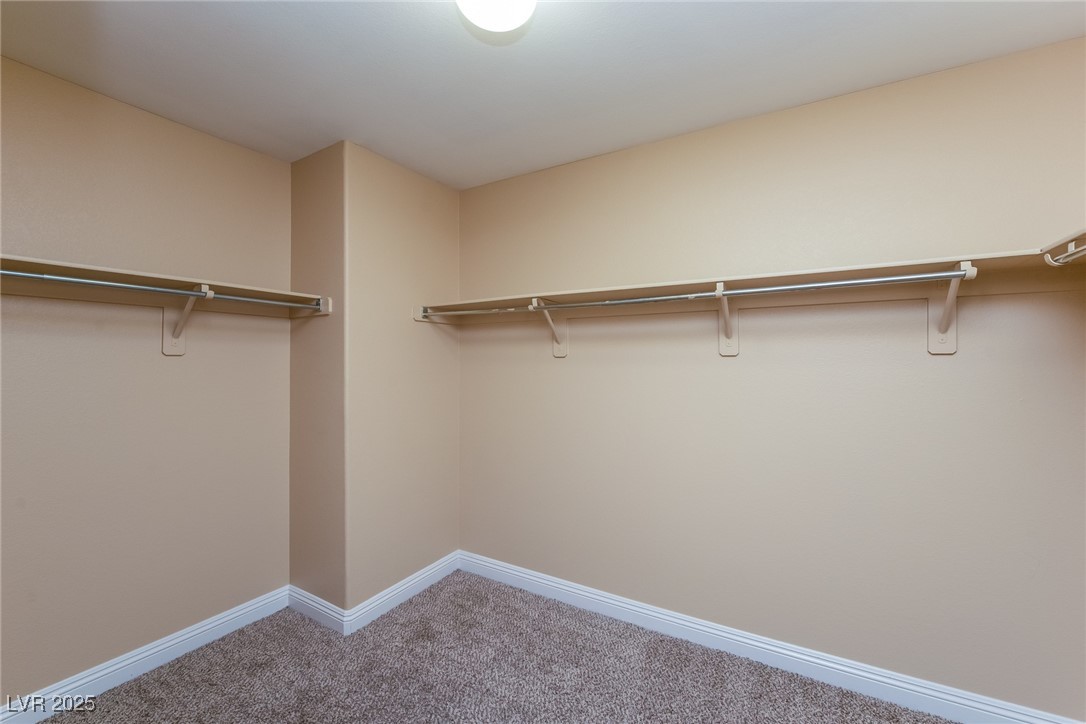 5676 Bettors Luck Court Property Photo 12