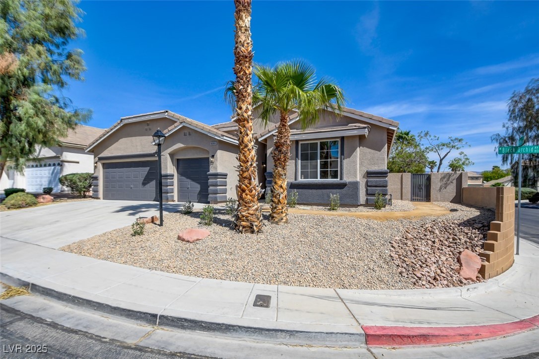 8080 Black Orchid Avenue Property Photo 3