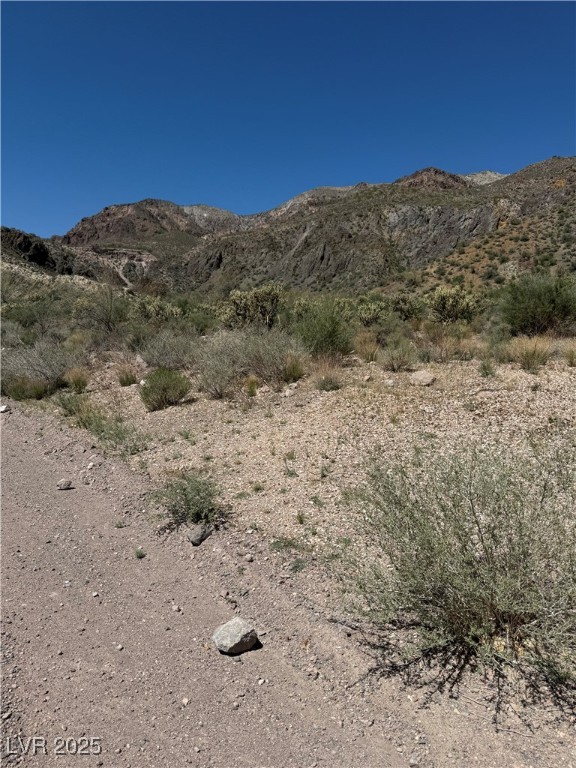 Carp Road Property Photo 4