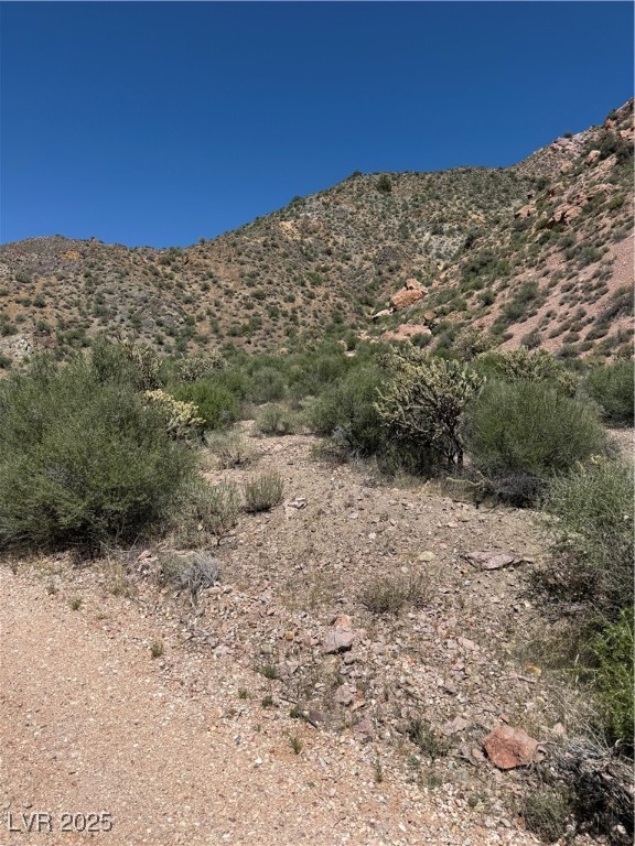 Carp Road Property Photo 11