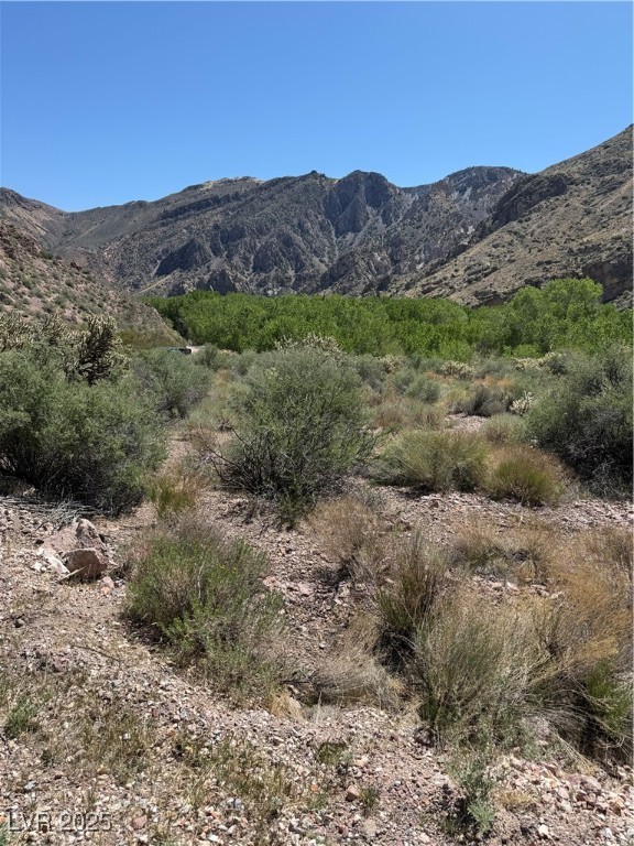 Carp Road Property Photo 14