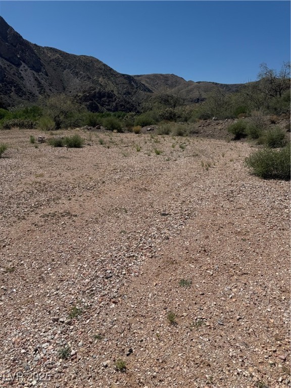 Carp Road Property Photo 15