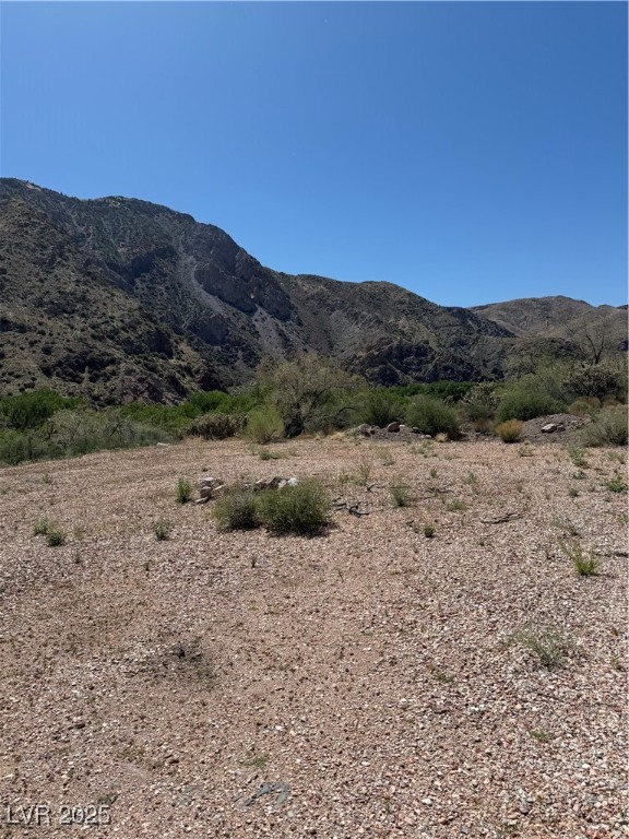 Carp Road Property Photo 17