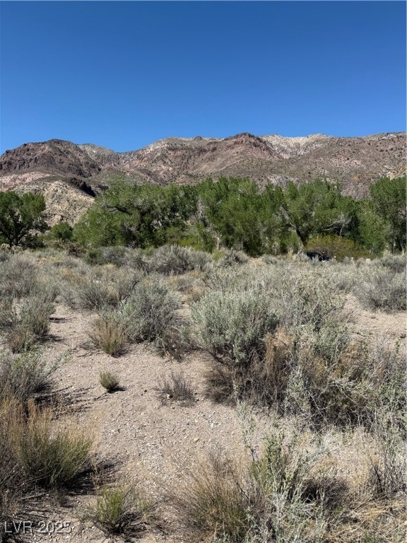 Carp Road Property Photo 25