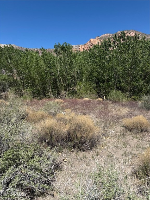 Carp Road Property Photo 27