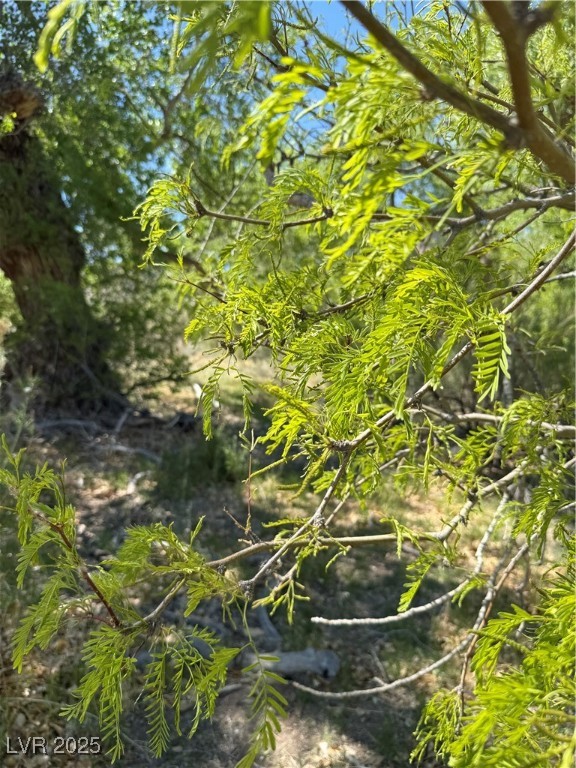 Carp Road Property Photo 29