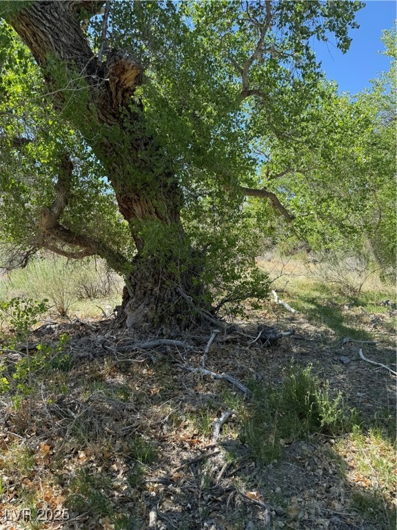 Carp Road Property Photo 30